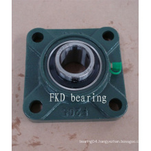 Pillow Block Bearing (UCF X06)